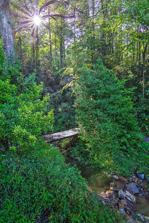 Shaw Creek Cottage With Fire Pit And Forest Views Hendersonville Bagian luar foto